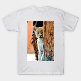 Baby Bob Cat T-Shirt